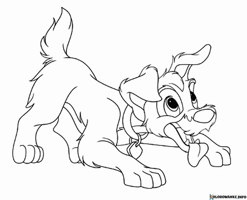 1684959516 906 Kolorowanki Zakochany Kundel do druku Pobierz lub wydrukuj za