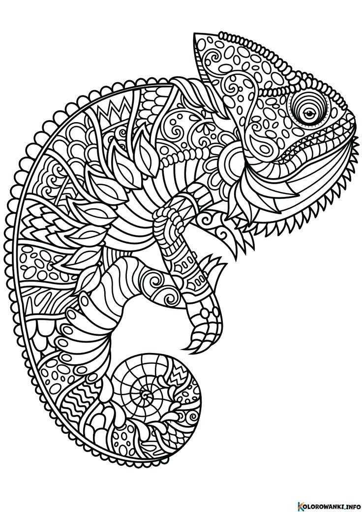 1685209239 495 Kolorowanki Zwierzeta mandala do druku Pobierz lub wydrukuj za