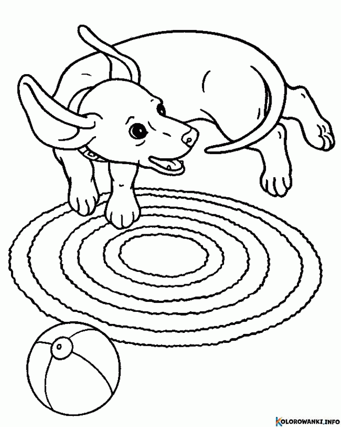 Kolorowanki Jamniki do druku Pobierz lub wydrukuj za darmo 1