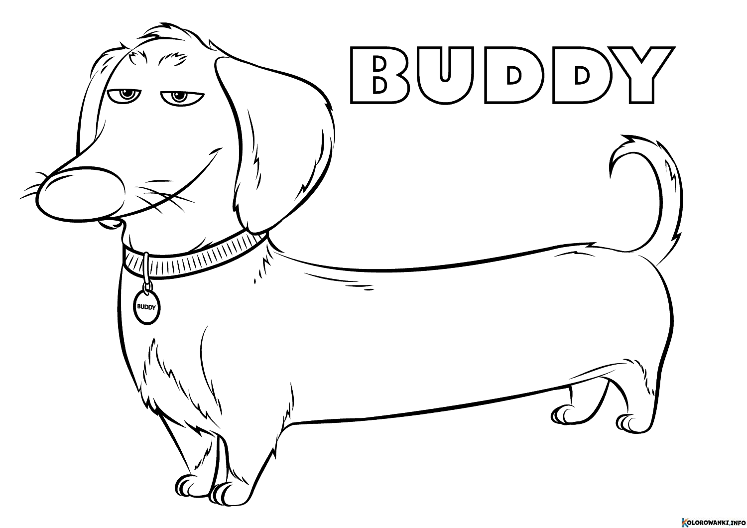 Kolorowanki Jamniki do druku Pobierz lub wydrukuj za darmo