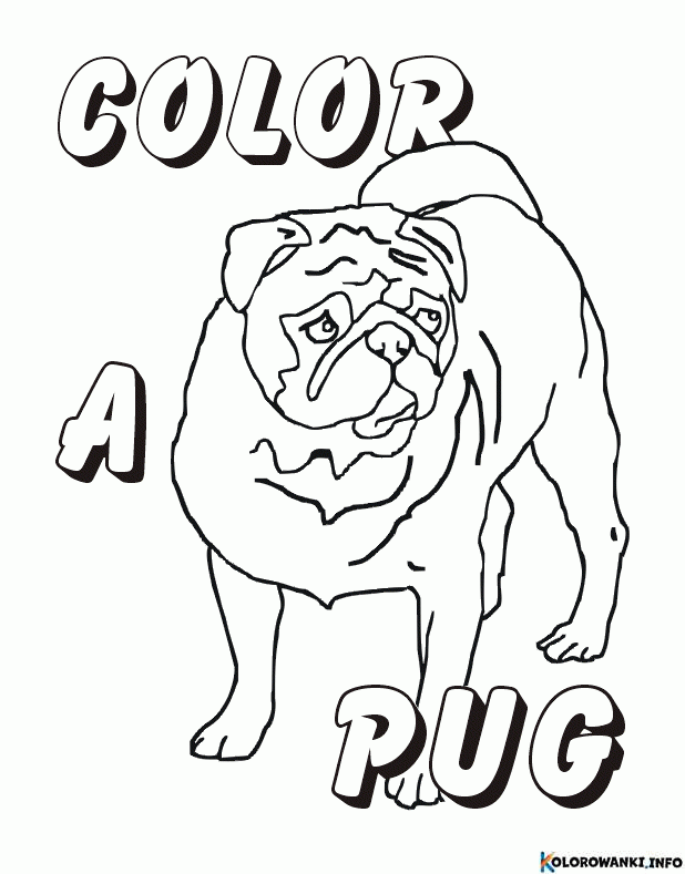 Kolorowanki Mopsy do druku Pobierz lub wydrukuj za darmo