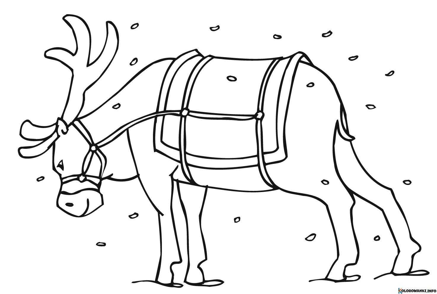 Kolorowanki Renifery do druku Pobierz lub wydrukuj za darmo