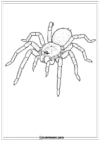 Pająk Szablon Do Druku