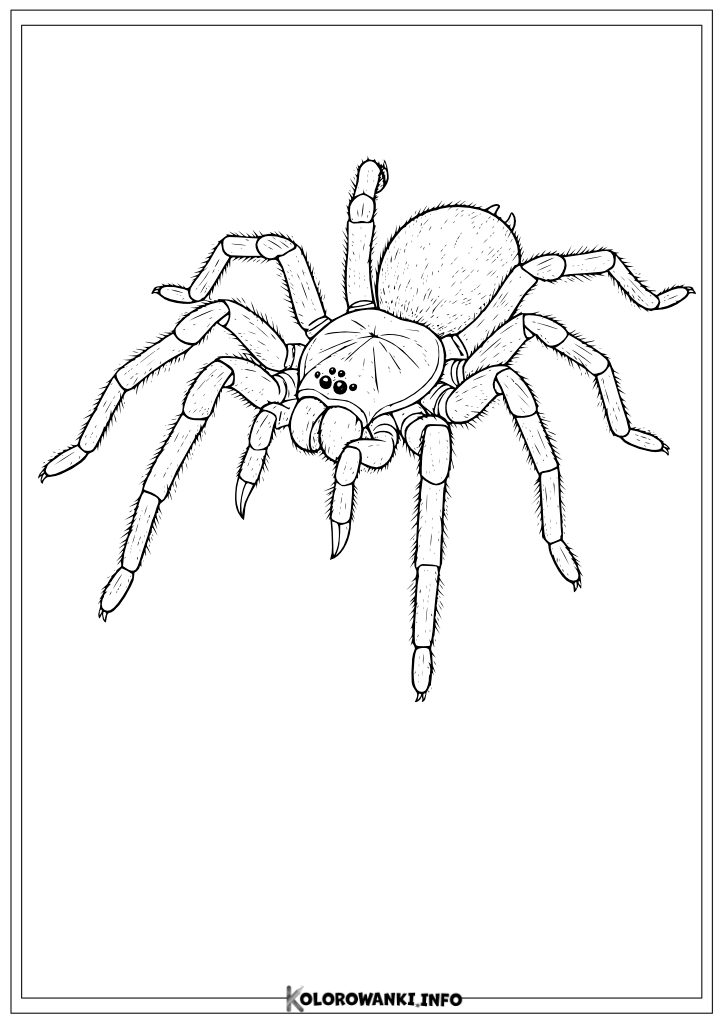 Pajak Szablon Do Druku