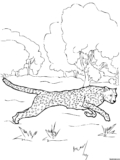Kolorowanki Gepard do druku | Pobierz szablon za darmo