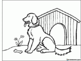 Kolorowanki Golden Retriever do druku | Pobierz lub wydrukuj za darmo