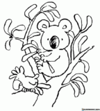 Kolorowanki  Koala do druku | Pobierz lub wydrukuj za darmo