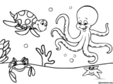 Kolorowanki Ocean do druku | Pobierz lub wydrukuj za darmo