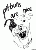 Kolorowanki Pitbull do druku | Pobierz lub wydrukuj za darmo