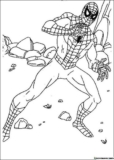 Kolorowanki Spiderman do druku | Pobierz lub wydrukuj za darmo