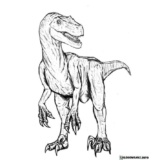 Kolorowanki Welociraptor do druku | Pobierz lub wydrukuj za darmo